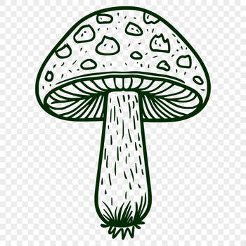 Unique Mushroom Artwork