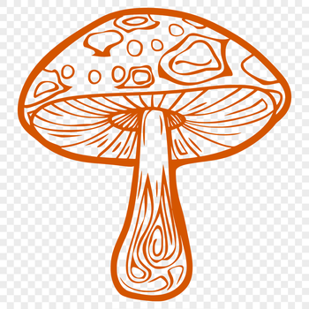 A detailed illustration of a mushroom with a cap and stem, created as a vector graphic.