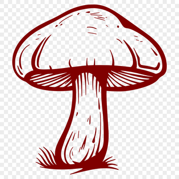 Illustrative mushroom graphic in vector format.