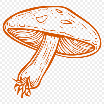 Free Mushroom Digital Artwork