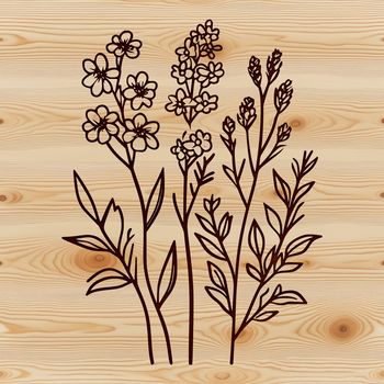 A colorful illustration of a wildflower in full bloom, suitable for vector designs.