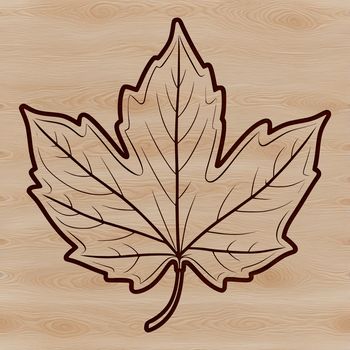 A detailed illustration of a maple leaf with intricate veins, suitable for vector design and cutting machine applications.