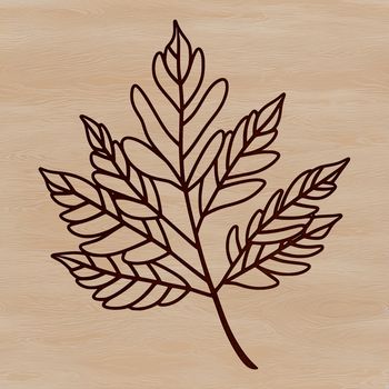 A detailed vector illustration of a single leaf with realistic shading and texture.