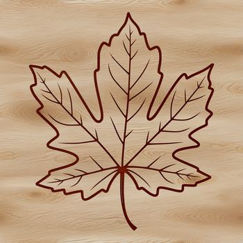 A detailed vector illustration of a single maple leaf with serrated edges.