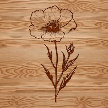 A colorful illustration of a wildflower in bloom, suitable for use in graphic design projects.