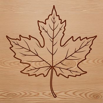 A stylized illustration of a single maple leaf with detailed veins and edges.