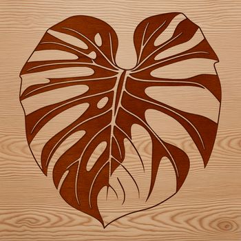 A realistic illustration of a Monstera leaf in vector format.