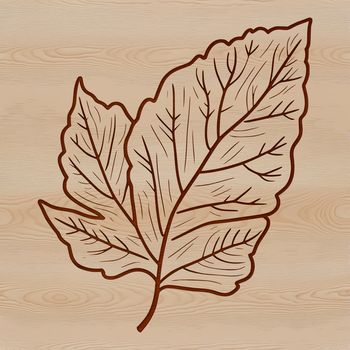 Illustrative leaf design suitable for vector graphics and cutting machine stencils