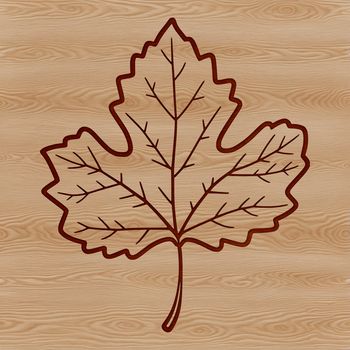 A high-quality vector image of a solitary leaf in naturalistic detail.