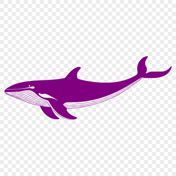 Illustrated vector graphic of a whale in high-resolution format.