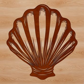 A detailed illustration of a seashell with intricate design.