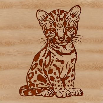 A sitting big cat with distinctive markings, resembling a wild animal from South America.