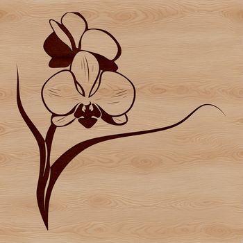 A stylized illustration of a blooming orchid flower in vibrant colors, suitable for digital use.