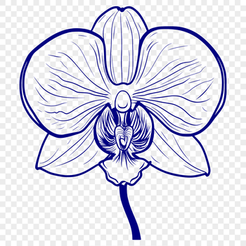 Free Unique Flower Vector Illustration DXF - Commercial Use