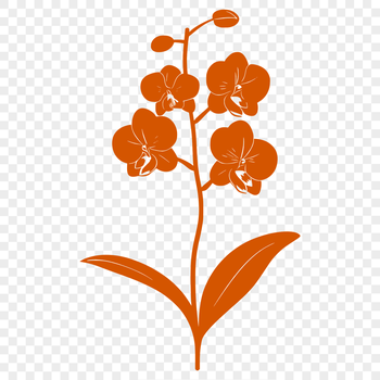 A detailed illustration of a single Orchid plant with long stem and delicate petals.