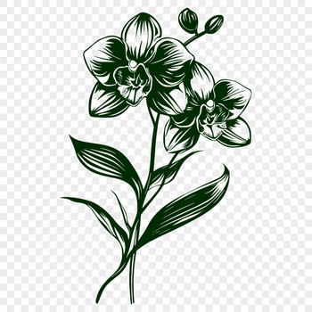 Free Unique Plant Digital Artwork SVG - Commercial Use