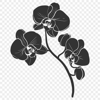 A detailed illustration of a blooming orchid plant with intricate petals.
