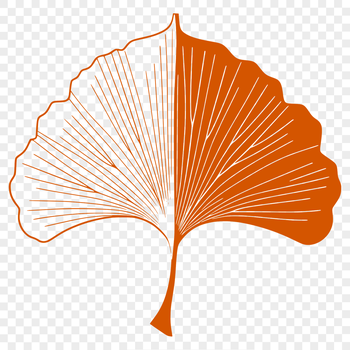 A single green leaf with veins, suitable for vector design projects.