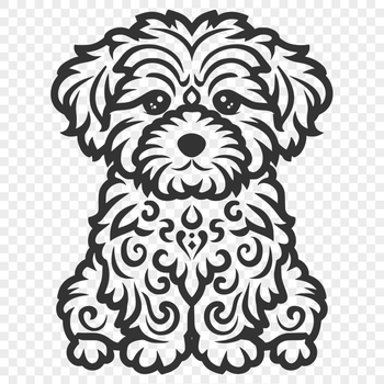 Unique Havanese PDF