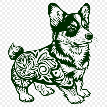 A standing Welsh Corgi breed dog with a distinctive appearance, suitable for vector design.