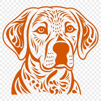 A detailed illustration of a Labrador Retriever's head in vector format, suitable for digital use.