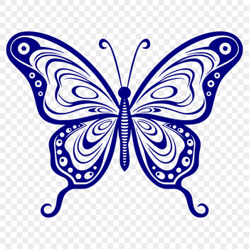 A detailed illustration of a butterfly's full body, featuring intricate patterns and designs.