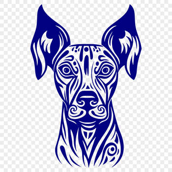 A detailed illustration of a Doberman Pinscher's head, suitable for vector art projects.