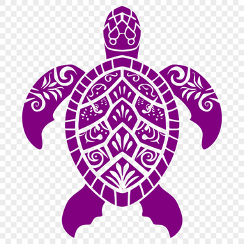 A detailed illustration of a sea turtle in full body pose, suitable for vector graphics design.