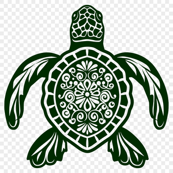 A detailed illustration of a sea turtle's full body, featuring its shell and flippers.