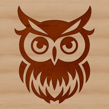 An illustration of an owl's head in detail, featuring feathers and facial features.