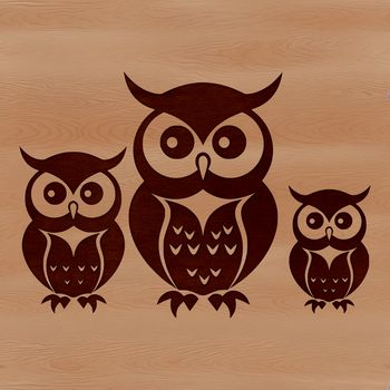A stylized illustration of an owl's face, designed as a vector graphic for digital use.