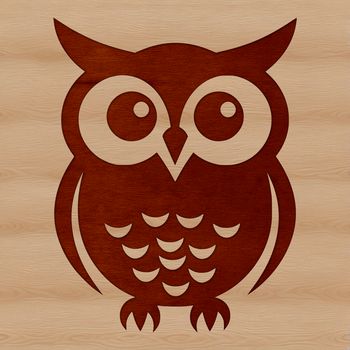 A detailed illustration of a cute owl with expressive facial features, designed as vector art.
