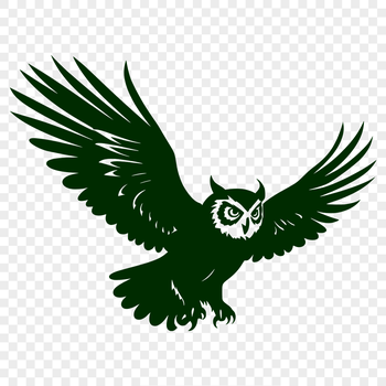 A detailed illustration of a full-body owl in flight, showcasing its feathers and wings.