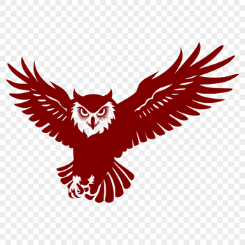 A detailed illustration of a full-body owl in flight, rendered as a vector graphic.