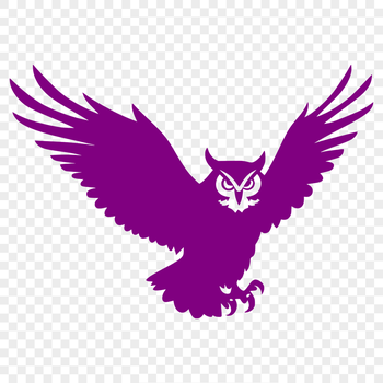 A detailed illustration of an owl's full body, showcasing its feathers, wings, and facial features in a realistic depiction.