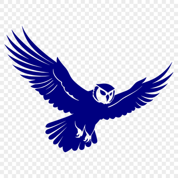 A detailed illustration of a full-body owl in mid-flight, suitable for vector design projects.