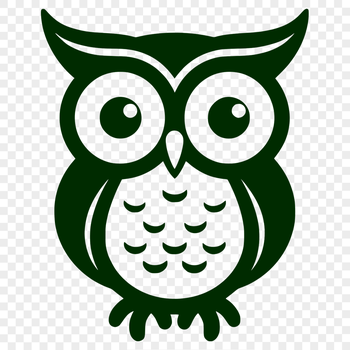 Beautiful Owl Vector Illustration