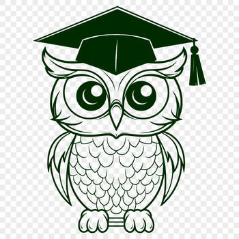 Close-up illustration of a cute owl's full body with detailed feathers and beak.