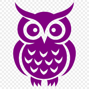 A detailed illustration of an owl's full body, showcasing its feathers and facial features.