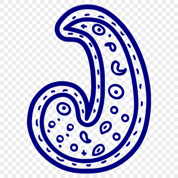 A simple line drawing of a classic paisley shape with intricate details.