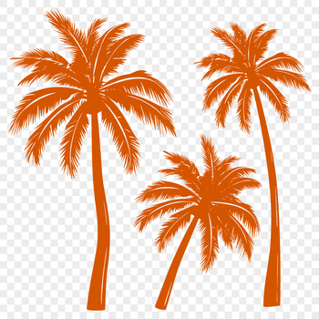 Beautiful Palm Tree In PNG - Free Digital Download