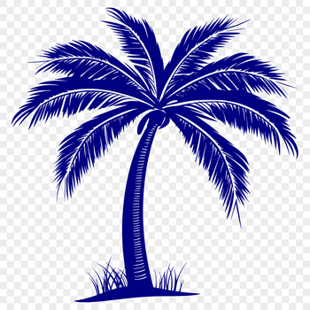 A single palm tree standing tall on a sandy beach background.