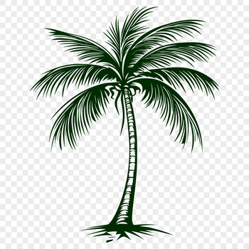 A stylized illustration of a single palm tree against a white background.