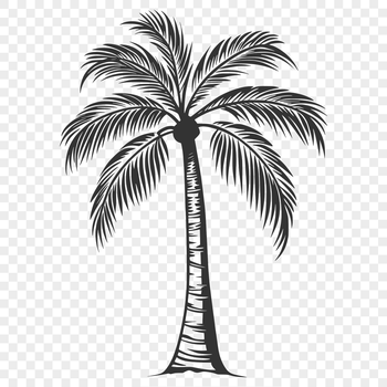 A single palm tree illustration in a vector format.