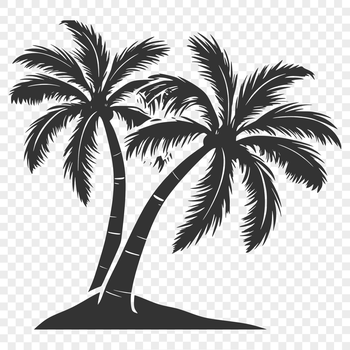 A single palm tree standing tall against a clear blue sky with sunlight casting a warm glow.