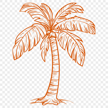 Palm tree illustration in vector format