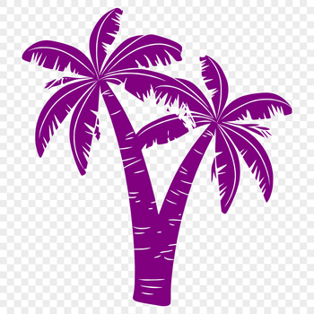 A single green palm tree standing alone on a sandy beach, ideal for tropical vacation themes.