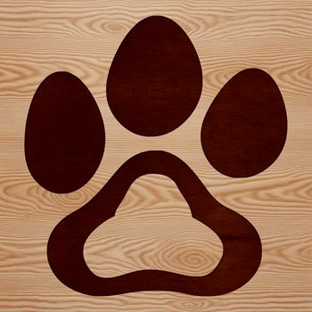 A set of realistic animal paw prints in a vector format.