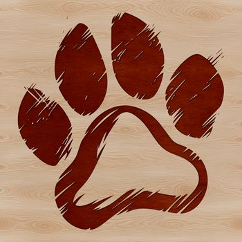 A set of high-quality vector animal paw prints in various sizes and styles.