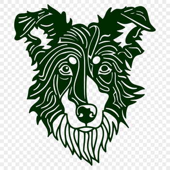A close-up illustration of a dog's head with distinctive markings and features typical of the Australian Shepherd breed.